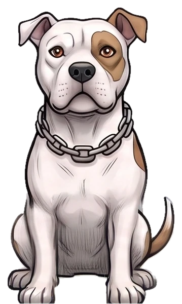 Kilo — white pit bull with tan patches and a chain collar